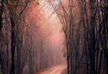 天涯论坛再曝肖战黑料，粉丝傻眼了！